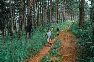 BIB: 
                            <button type="button" onclick="openModal(25652933)" class="btn btn-primary btn-sm float-right btn-popup" data-toggle="modal" data-target=".modal-high-quality">
                        <i class="fas fa-shopping-cart"></i> Add to Cart
                    </button>
                                            <button type="button" onclick="isThisMe(25652933, true)" class="btn btn-success btn-sm float-right btn-popup btn-isme hidden" data-toggle="tooltip" data-placement="bottom" title="นี่คือรูปของคุณใช่ไหม คลิกที่นี่เพื่อเอาเข้าอัลบั้ม">
                        <i class="fas fa-plus"></i> Add to album
                    </button>
                    <button type="button" onclick="isThisMe(25652933, false)" class="btn btn-warning btn-sm float-right btn-popup btn-isnotme hidden">
                        <i class="fas fa-ban"></i> Remove from album
                    </button>